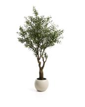 Цветок La Forma (ех Julia Grup) Искусственное дерево Artificial Olive в белом горшке, 210 см арт. 482455