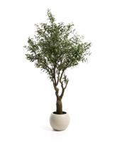 Цветок La Forma (ех Julia Grup) Искусственное дерево Artificial Olive в белом горшке, 210 см арт. 482455