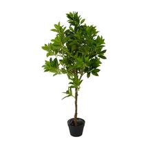 Цветок МиК Искусственные растения Дерево счастья MK-7406-FT 0х0х165 см Темно-зеленый арт. ZN-137093