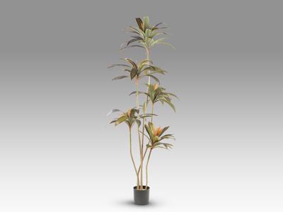 Цветок Schuller Dracena roja Искусственное растение H220 арт. 465761
