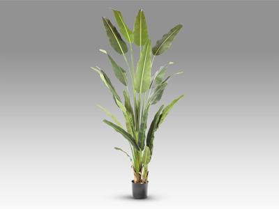 Цветок Schuller Palma viajero Искусственное растение H240 арт. 465769