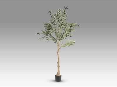 Цветок Schuller Olivo Искусственное растение H180 арт. 465771