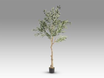 Цветок Schuller Olivo Искусственное растение H180 арт. 465771