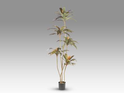 Цветок Schuller Dracena roja Искусственное растение H220 арт. 465761