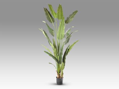 Цветок Schuller Palma viajero Искусственное растение H240 арт. 465769