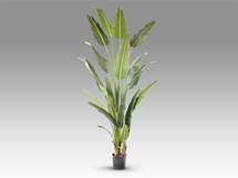 Цветок Schuller Palma viajero Искусственное растение H240 арт. 465769