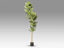 Цветок Schuller Higuera violin Искусственное растение H200 арт. 465759