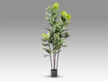 Цветок Schuller Higuera violin Искусственное растение H250 арт. 465765