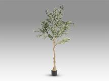 Цветок Schuller Olivo Искусственное растение H180 арт. 465771