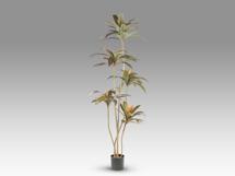 Цветок Schuller Dracena roja Искусственное растение H220 арт. 465761