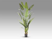 Цветок Schuller Palma viajero Искусственное растение H240 арт. 465769