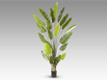 Цветок Schuller Ave paraiso Искусственное растение H250 арт. 465767