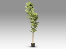 Цветок Schuller Higuera violin Искусственное растение H200 арт. 465759