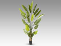 Цветок Schuller Ave paraiso Искусственное растение H250 арт. 465767