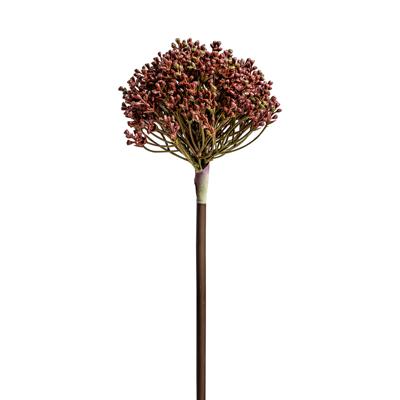 Цветок Vical Растение ALLIUM фиолетового цвета арт. 170979