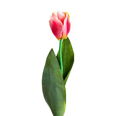 Цветок Vical Цветок TULIPAN в розовом цвете арт. 170989