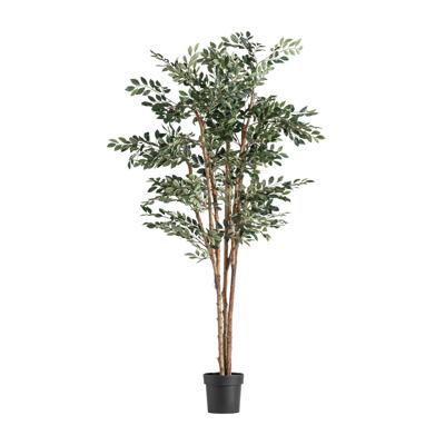 Цветок Vical Искусственное растение FICUS 37730 арт. 482750