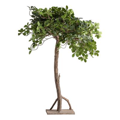 Цветок Vical Искусственное растение FICUS 38081 арт. 505108
