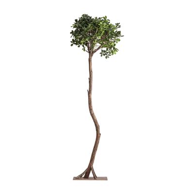 Цветок Vical Искусственное растение FICUS 38083 арт. 505110