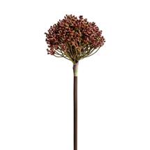 Цветок Vical Растение ALLIUM фиолетового цвета арт. 170979