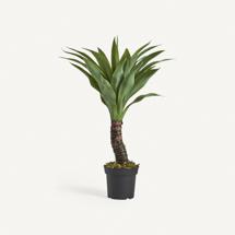 Цветок Vical Искусственное растение YUCCA арт. 167359