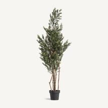 Цветок Vical Искусственное растение BOJ арт. 482754