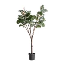 Цветок Vical Искусственное растение ROBLE BLANCO арт. 182171