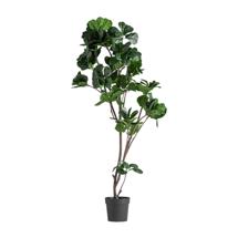 Цветок Vical Искусственное растение FICUS 37727 арт. 482748