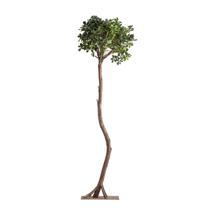 Цветок Vical Искусственное растение FICUS 38083 арт. 505110