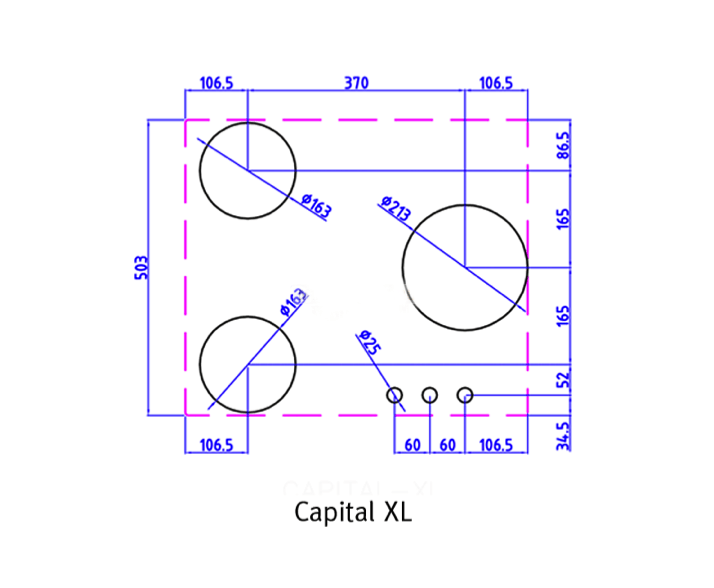 /i/Varochnaya-panel-Reginox-CAPITAL-XL-00158154