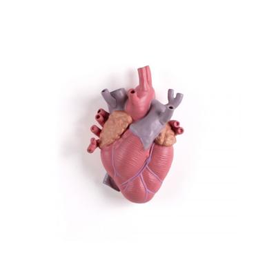 Ваза Seletti Ваза Love in Bloom Color арт. 09923