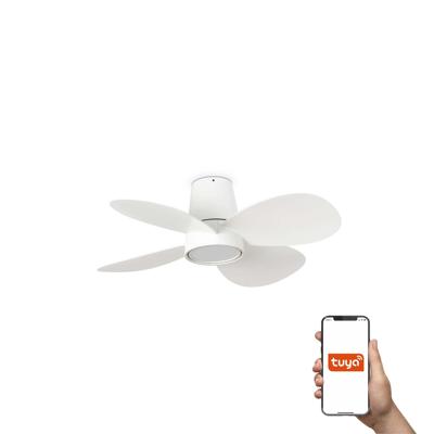 Вентилятор  Faro Потолочный вентилятор KLOVER S Ш800MM белый 4P 18W LED CCT DIM TUYA арт. 220507