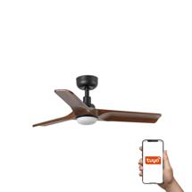 Вентилятор  Faro Потолочный вентилятор HEYWOOD S Ш900 черный/орех 3P LED 10W TUYA арт. 220045