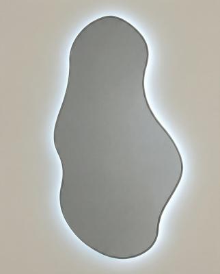 Зеркало Art-Zerkalo Lake LED Silver Зеркало в раме с подсветкой арт. SM124LSL