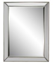 Зеркало Art-Zerkalo Зеркало в раме Franco Silver арт. GY295SL