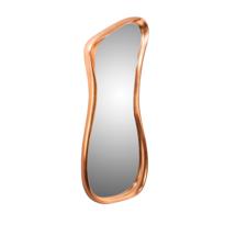 Зеркало Schuller Декоративное зеркало Gina арт. 420397