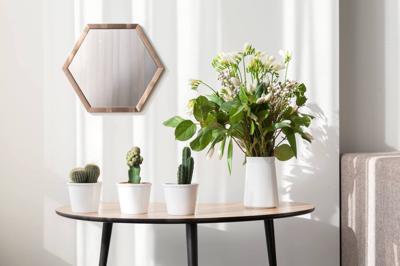 Стол журнальный Woodi Furniture Журнальный столик "Почка" арт. P02SP-TS