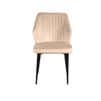 Стул Top concept Стул Berg, бархат бежевый 5 арт. 74636