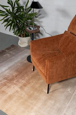 Ковер Carpet decor by Fargotex Ковер SUNSET taupe 200х300 см арт. C1270