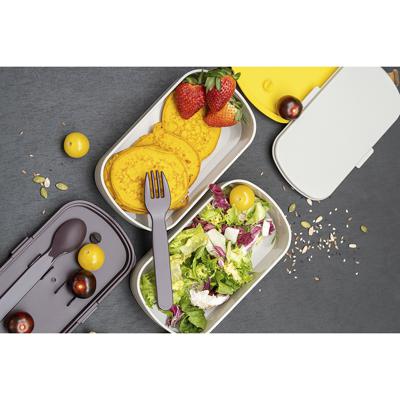 Емкости для хранения ЯЯЯ Ланч-бокс с приборами food time, 1 л, серый арт. SS-LBDL-PP-GR-1