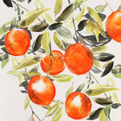 Фоторамка Bergenson Bjorn Панно декоративное juicy orange, 70х100 см арт. BB0000970