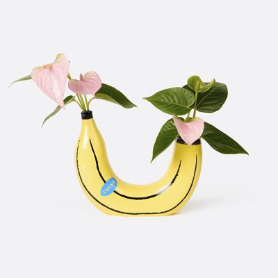 Ваза Doiy Ваза для цветов banana, 19 см, желтая арт. DYVABANYE