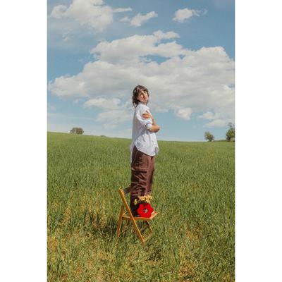 Ваза Doiy Ваза для цветов daisy, 20 см, красная арт. DYVADAIRE