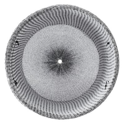 Остальные предметы Bergenson Bjorn Корзина для хранения sustainable collection, D42х55 см, черная арт. BB0000669