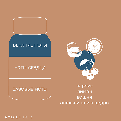 Аромат AMBIENTAIR Диффузор ароматический gifting, bisquit&berries, 100 мл арт. MK100GTTO