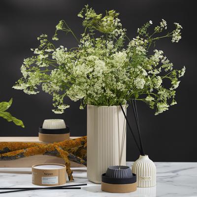 Аромат Tkano Диффузор ароматический lemon, mandarin & neroli из коллекции edge, 200 мл, бежевый арт. TK23-DIF0015