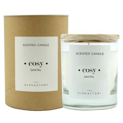 Свеча AMBIENTAIR Свеча ароматическая the olphactory, cosy, santal, 40 ч арт. VV401SATO