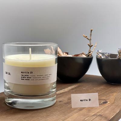 Свеча AMBIENTAIR Свеча ароматическая lab co, myrtle, 40 ч арт. VV040SBLB