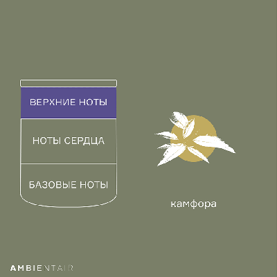 Свеча AMBIENTAIR Свеча ароматическая enchanted forest, spruse, 40 ч арт. VV040ACEF