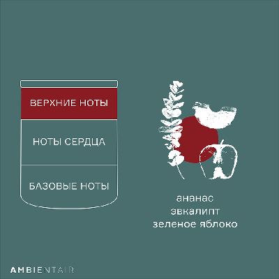 Свеча AMBIENTAIR Свеча ароматическая gifting, cinnamon&apple, 40 ч арт. VV401MCTO